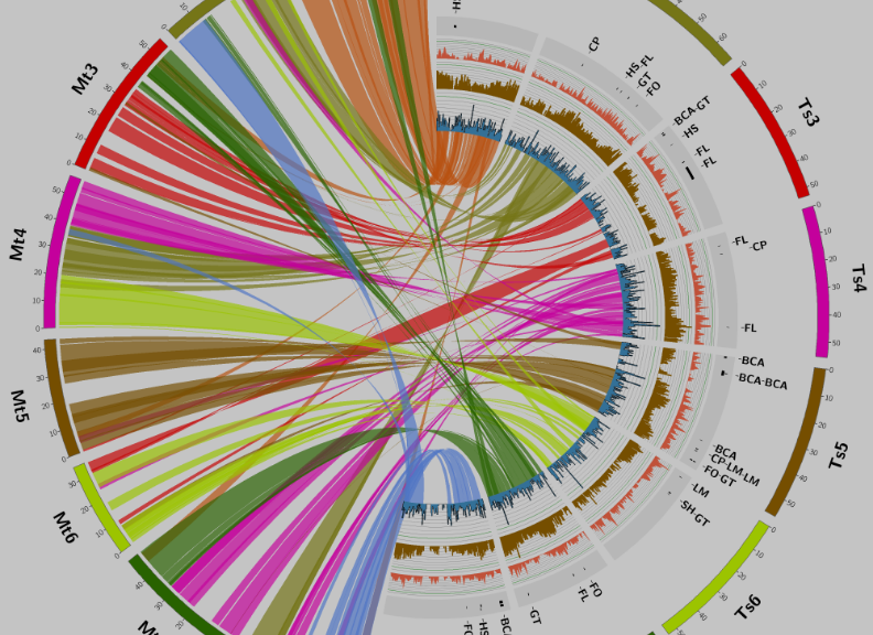 Computational Genomics: Understanding The Genome : The University Of ...