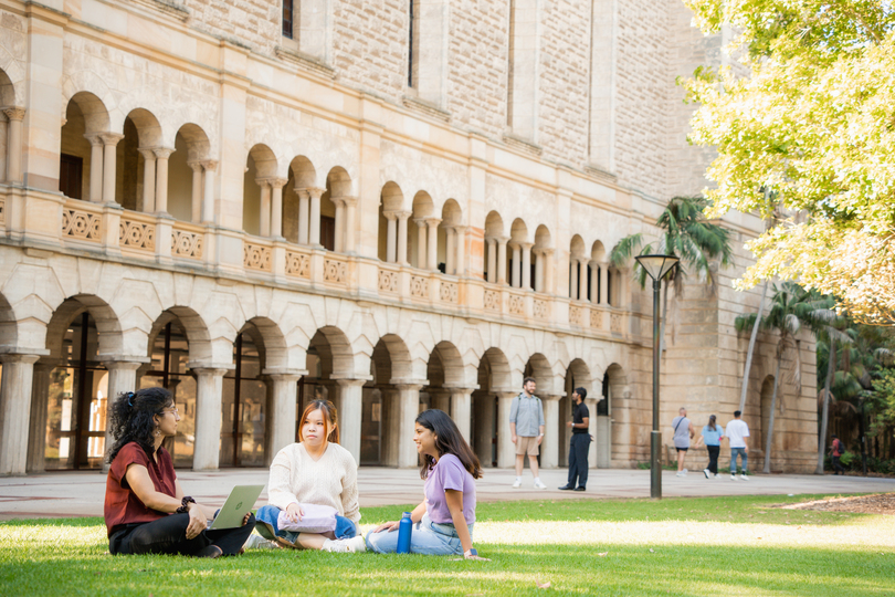 3 students studying outside on the grass