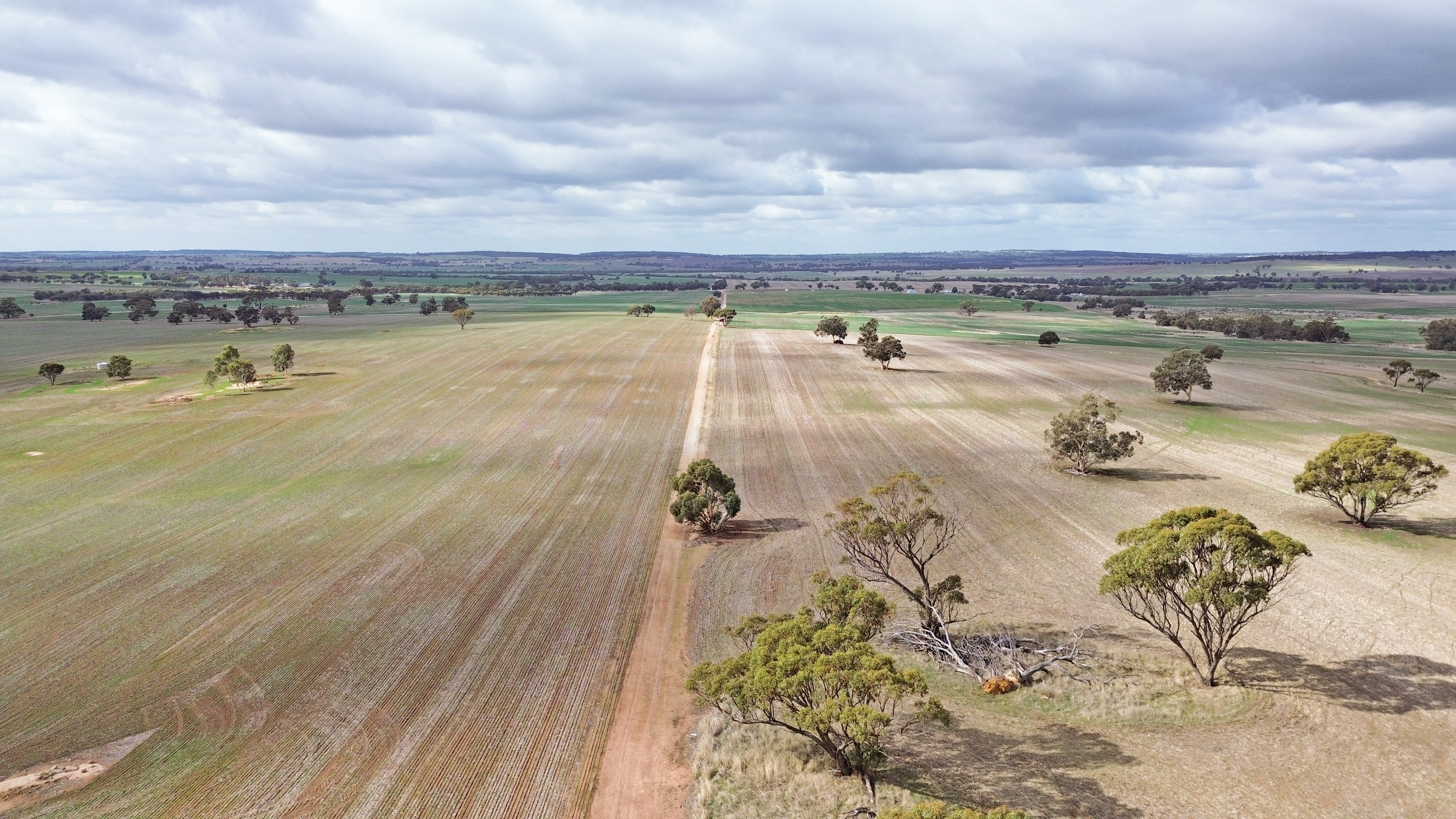 IOA Annual Research Report 2024 Cover