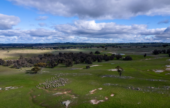 Image of farm lands