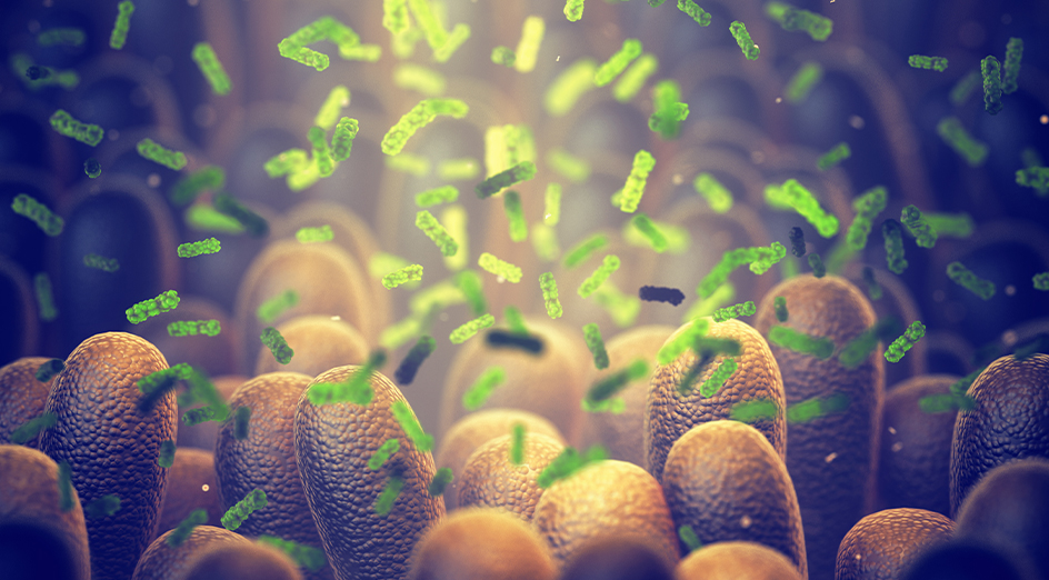 Gut microbiome