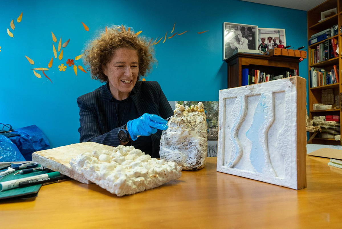 Scientist demonstrating alternative building material