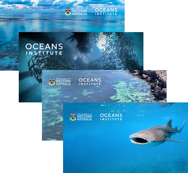 Examples of OI backgrounds