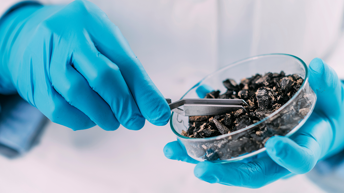 Close up of gloved hands and petri dish of charred wood