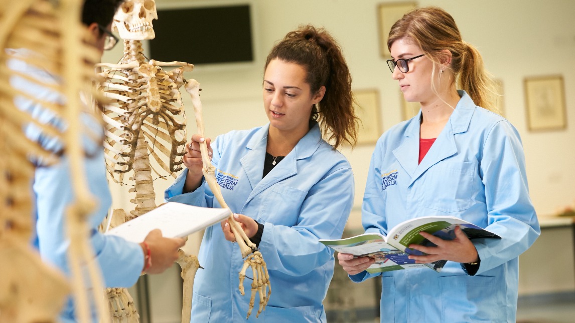 Three human biology and anatomy students in a laboratory looking at a skeleton model
