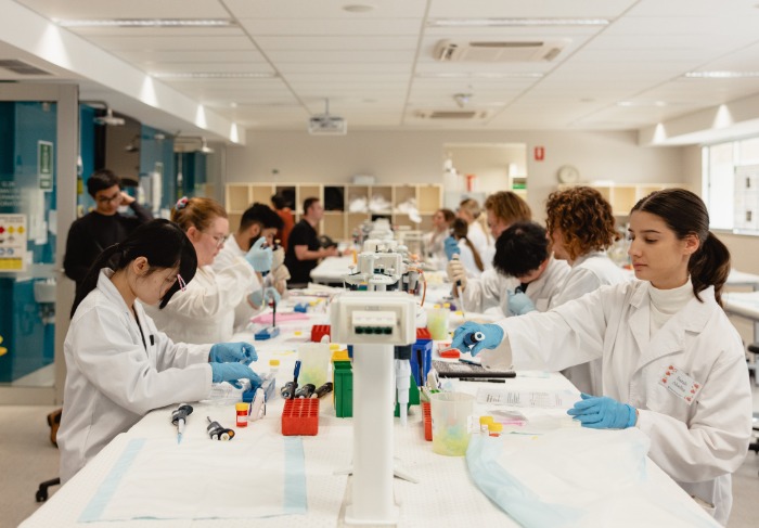 Pharmacy students work in laboratory