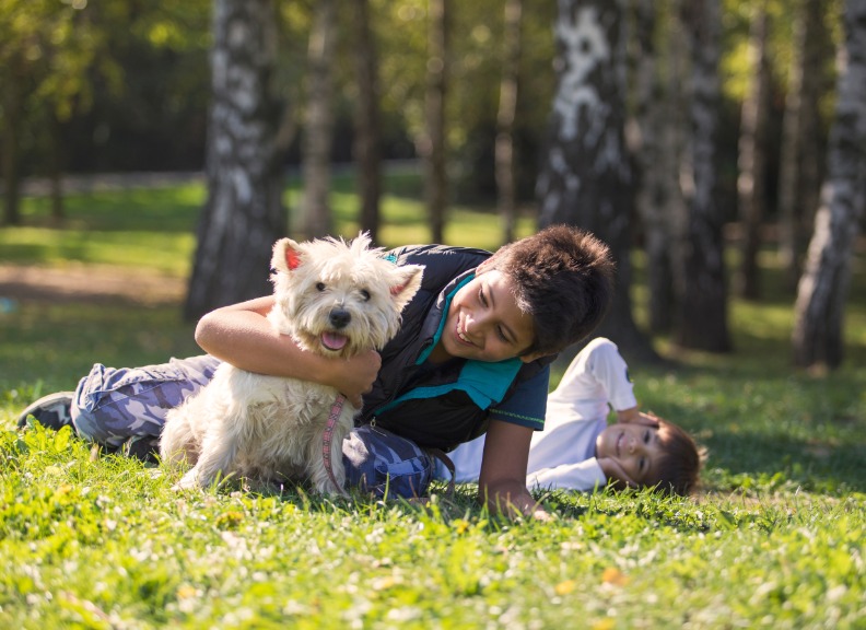 Pets And Health : The University Of Western Australia